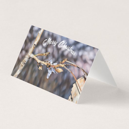 Eisfallen (Vorderseite)