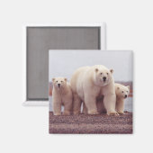 Eisfamilie Magnet (Vorderseite/Rückseite)