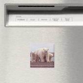 Eisfamilie Magnet (In Situ (Geschirrspüler))