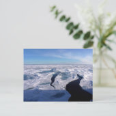 Eisfelder im Nordpolarmeer Postkarte (Stehend Vorderseite)