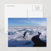 Eisfelder im Nordpolarmeer Postkarte (Vorne/Hinten)