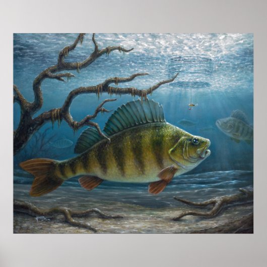 Eisfischen auf Barsche Poster (Vorne)
