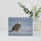 Eisfischen Postkarte (Stehend Vorderseite)
