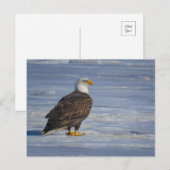 Eisfischen Postkarte (Vorne/Hinten)
