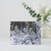 Eisformationen, Insel Unalaska Postkarte (Stehend Vorderseite)