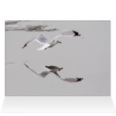 Eisgürtel (Innenansicht Horizontal (Oben))