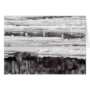 Eisgürtel