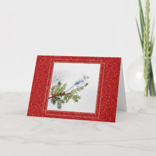 Eishäher auf einem Kiefernzweig Weihnachten Karte