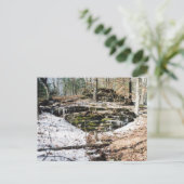 Eishalme Postkarte (Stehend Vorderseite)