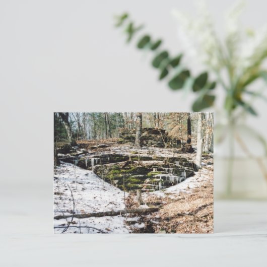 Eishalme Postkarte (Stehend Vorderseite)