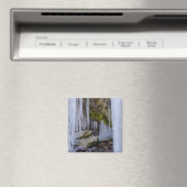 Eishöhle Magnet (In Situ (Geschirrspüler))