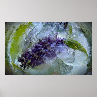 Eisige Blüten Poster