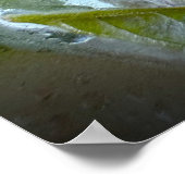 Eisige Blüten Poster (Ecke)
