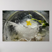 Eisige Blüten, Poster (Vorne)