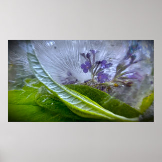 Eisige Blüten Poster