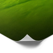Eisige Blüten Poster (Ecke)