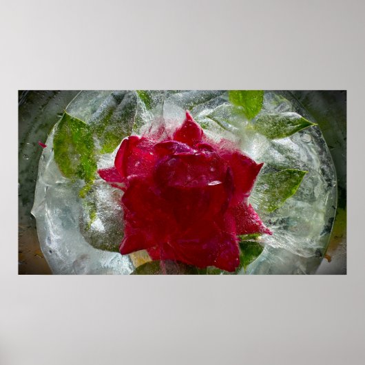 Eisige Blüten Poster (Vorne)