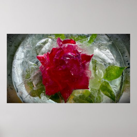 Eisige Blüten Poster (Vorne)