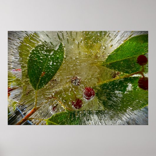 Eisige Blüten Poster (Vorne)