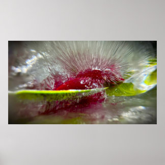 Eisige Blüten Poster