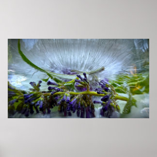 Eisige Blüten Poster