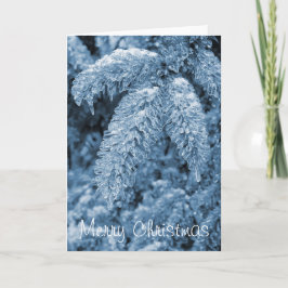 Eisige Kiefern-frohe Weihnacht-Karte Feiertagskarte