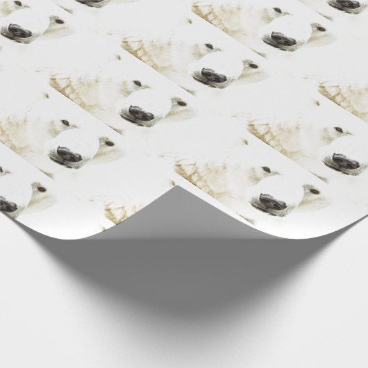 Eisige Starren eines Eisbären Geschenkpapier (Ecke)