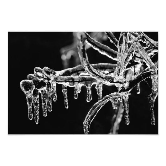 eisiger Winter eintreten Fotodruck (Vorne)
