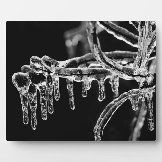 eisiger Winter eintreten Fotoplatte (Vorderseite)