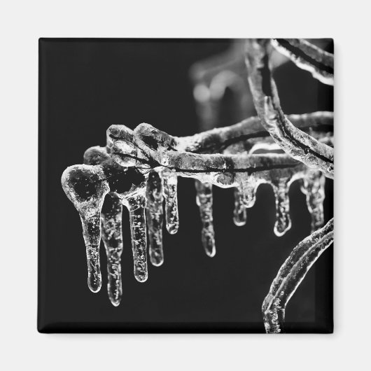 eisiger Winter eintreten Magnet (Vorne)