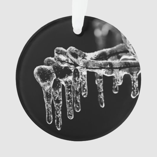 eisiger Winter eintreten Ornament (Vorderseite)