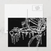 eisiger Winter eintreten Postkarte (Vorne/Hinten)