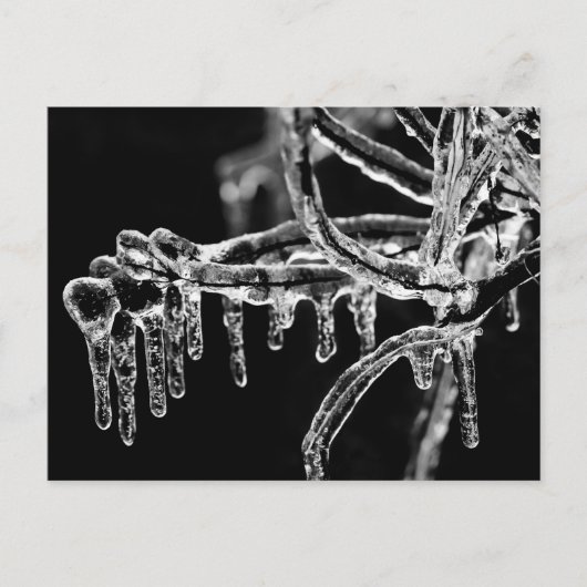 eisiger Winter eintreten Postkarte (Vorderseite)