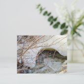 Eisiger Winter schmilzt Postkarte (Stehend Vorderseite)