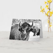 Eisiger Yellowstone-Bison Karte (Gelbe Blume)