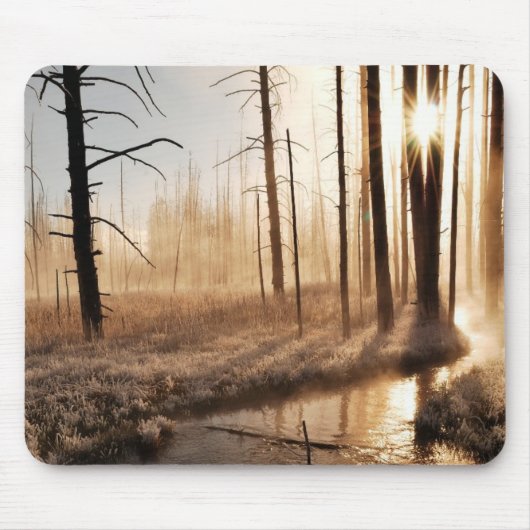 Eisiger Yellowstone-Morgen Mousepad (Vorne)