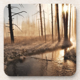 Eisiger Yellowstone-Morgen Untersetzer