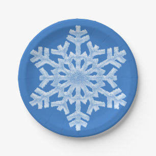 Eisiges weißes gefrorenes Schneeflocke-eisiges Pappteller