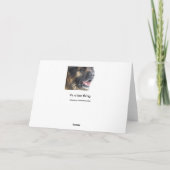 Eiskalte Leonberger Grußkarte Karte (Rückseite)