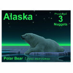 Eiskantenbär - Alaska-Bühne Fotoskulptur Magnet<br><div class="desc">Eine weitere in der Reihe der Porto-Briefmarke für einen unabhängigen Alaska. Ein friedlicher Moment in der langen arktischen Nacht. Ein Eisbär Erholungen am Rand eines offenen Bereichs im Packeis. Die Nordlichter leuchten in der Ferne; helle Sterne blinken über dem Kopf. Es erscheint auch Text mit "Alaska", "Postage 3 Nuggets", "Polar...</div>