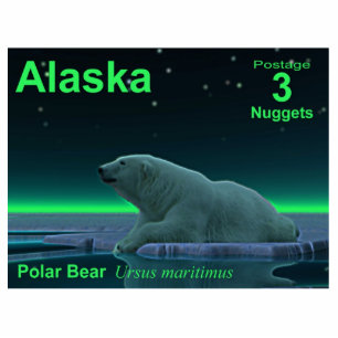 Eiskantenbär - Alaska-Bühne Fotoskulptur Magnet