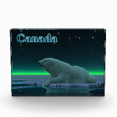 Eiskantenbär - Kanada Fotoblock (Vorderseite)