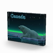 Eiskantenbär - Kanada Fotoblock (Rechts)