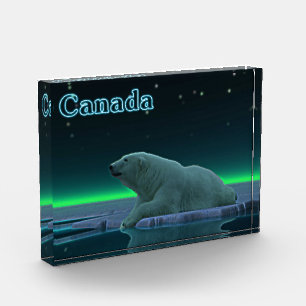 Eiskantenbär - Kanada Fotoblock