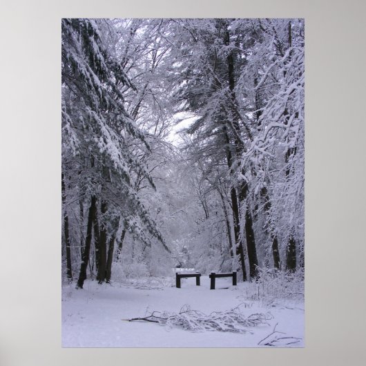 Eiskathedral 2 ~ Druck Poster (Vorne)