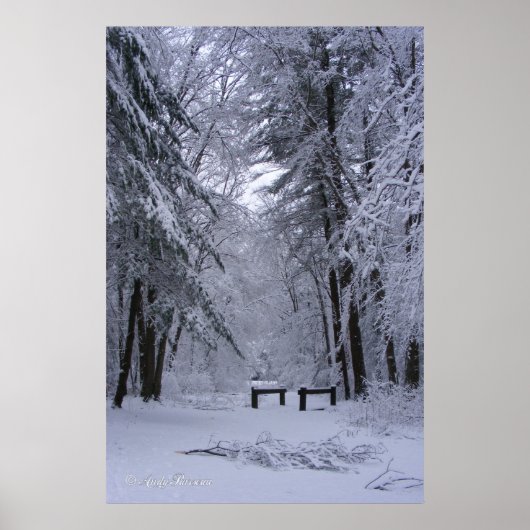 Eiskathedral ~ Druck Poster (Vorne)