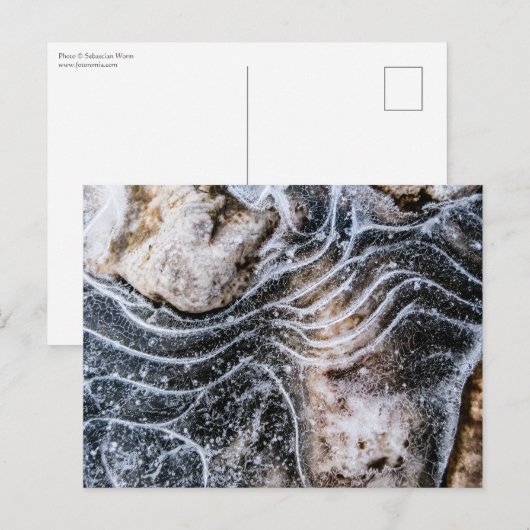 Eiskristall-Foto Postkarte (Vorne/Hinten)