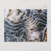 Eiskristall-Foto Postkarte (Vorderseite)