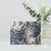 Eiskristall-Foto Postkarte (Stehend Vorderseite)