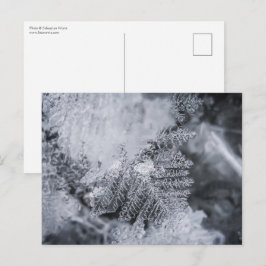 Eiskristall-Foto Postkarte